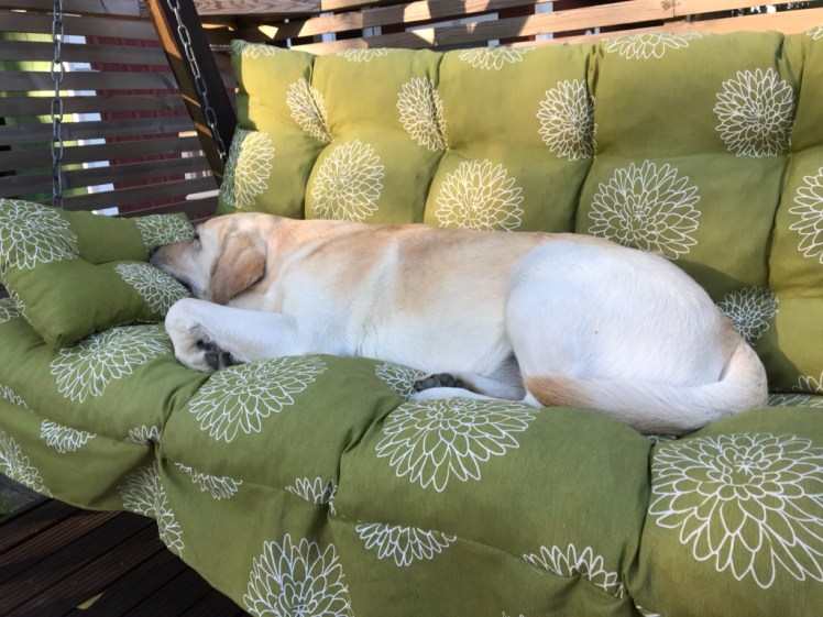 remontti_roope_huilaa_välillä