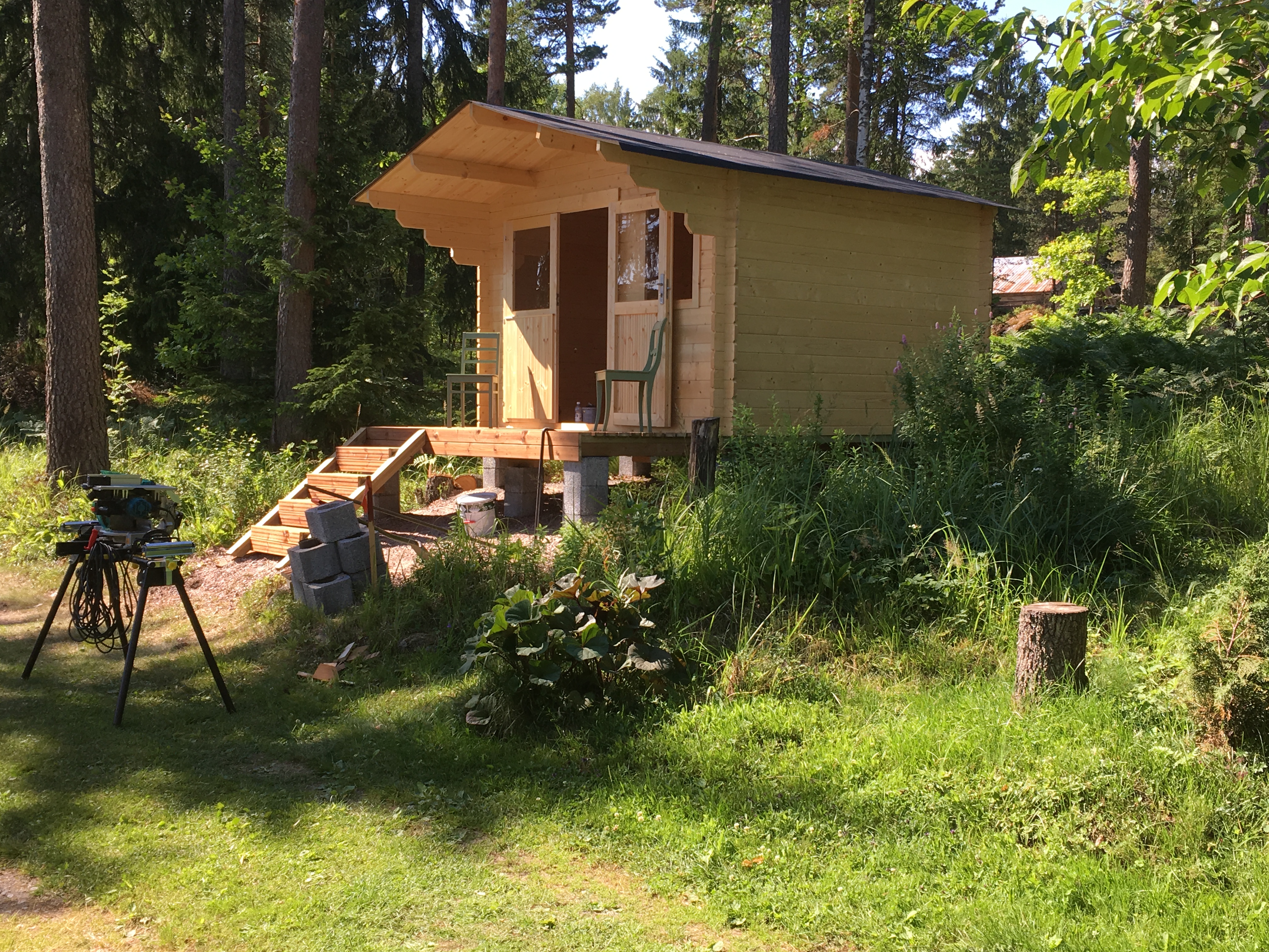 vierasmajan_tuoreen_puun_suojaus_on_tärkeää